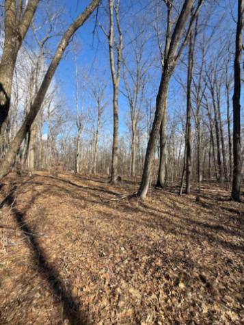 Tbd Woodchuck Trail Cushing MN 56443