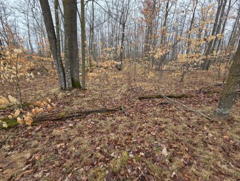 Tbd Xxx Longville MN 56655
