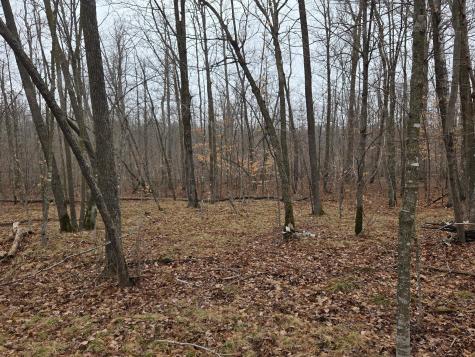Tbd Xxx Longville MN 56655
