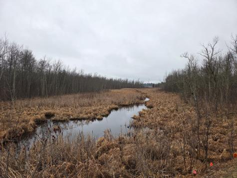 Tbd Xxx Longville MN 56655