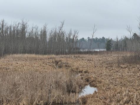 Tbd Xxx Longville MN 56655