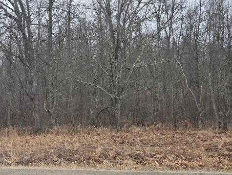 Tbd Xxx Longville MN 56655