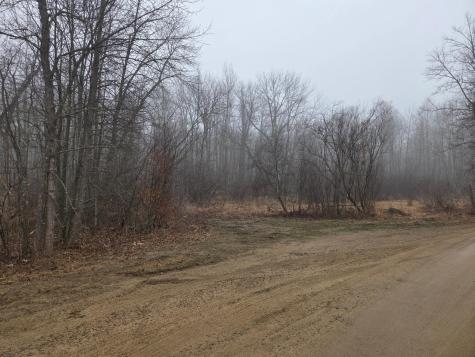 Tbd Xxx Longville MN 56655