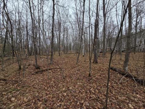 Tbd Xxx Longville MN 56655