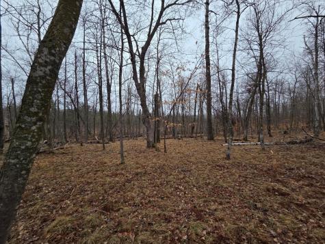 Tbd Xxx Longville MN 56655