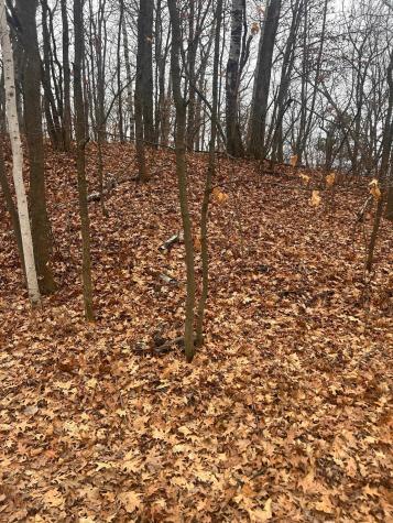 Tbd Golf Course Circle Cushing MN 56443
