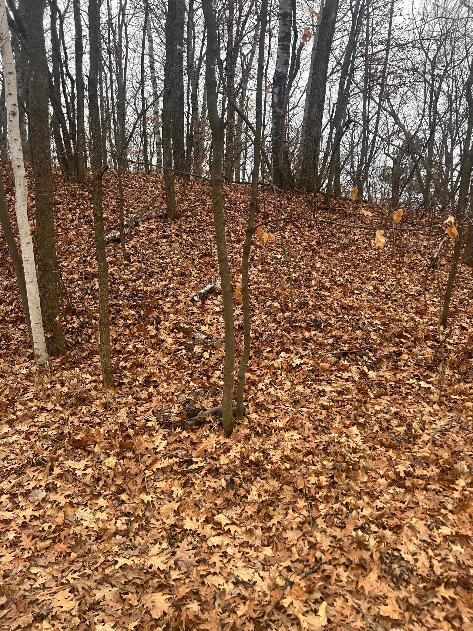 Tbd Golf Course Circle Cushing MN 56443