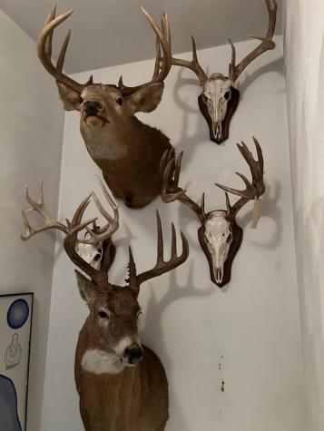 Na Na Albert Lea MN 56007
