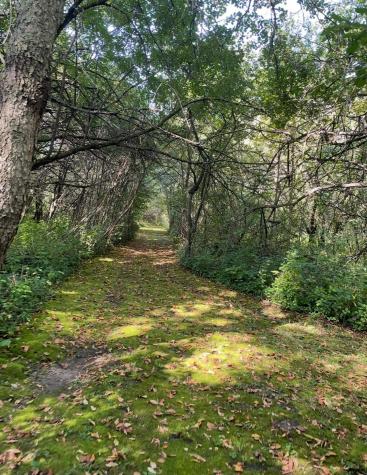 Na Na Albert Lea MN 56007