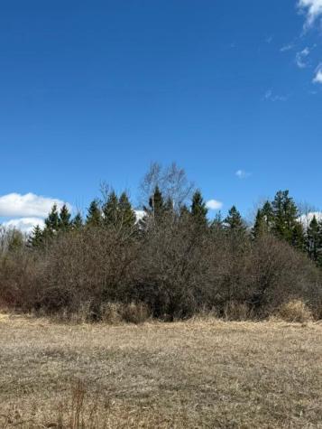 Tbd County 63 Boy River MN 56672