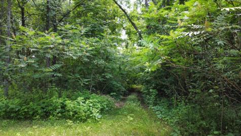 Tbd W 2nd Street Pillager MN 56473