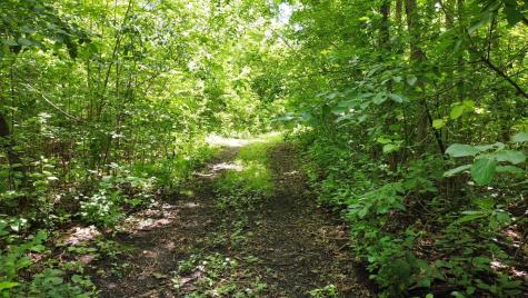 Tbd W 2nd Street Pillager MN 56473