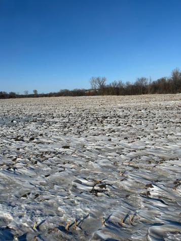 Xxxx 285th (180 Acres) Street Northfield MN 55057