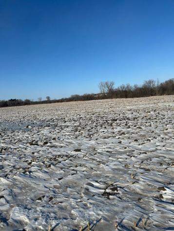 Xxxx 285th (180 Acres) Street Northfield MN 55057