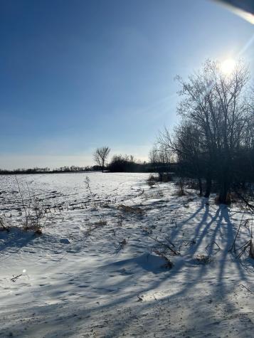 Xxxx 285th (180 Acres) Street Northfield MN 55057