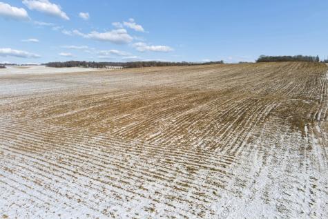 Xxxx 285th (180 Acres) Street Northfield MN 55057