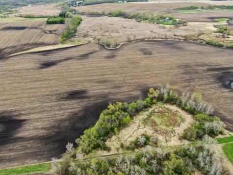 Xxxx 285th (180 Acres) Street Northfield MN 55057