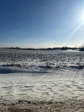 Xxxx 285th (180 Acres) Street Northfield MN 55057
