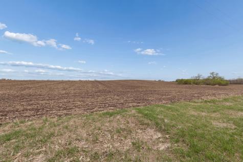 Xxxx 285th (180 Acres) Street Northfield MN 55057