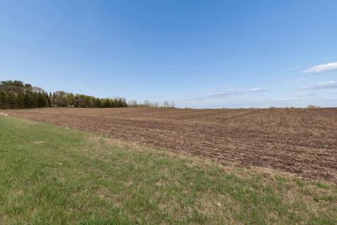 Xxxx 285th (180 Acres) Street Northfield MN 55057