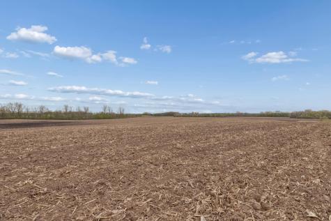 Xxxx 285th (180 Acres) Street Northfield MN 55057