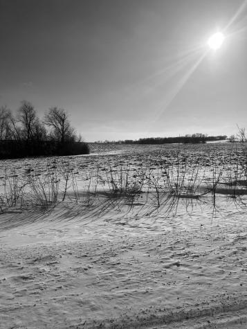 Xxxx 285th (180 Acres) Street Northfield MN 55057