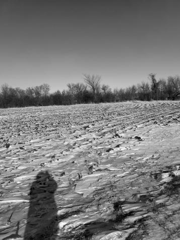 Xxxx 285th (180 Acres) Street Northfield MN 55057