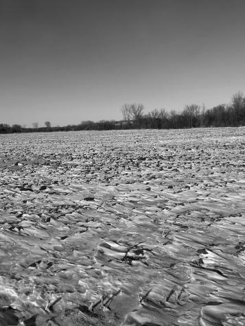 Xxxx 285th (180 Acres) Street Northfield MN 55057
