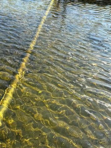 51021 Fish Lake Road Detroit Lakes MN 56501