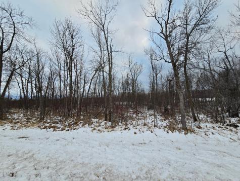 Outlots 1-9 County Road 26 Garrison MN 56450