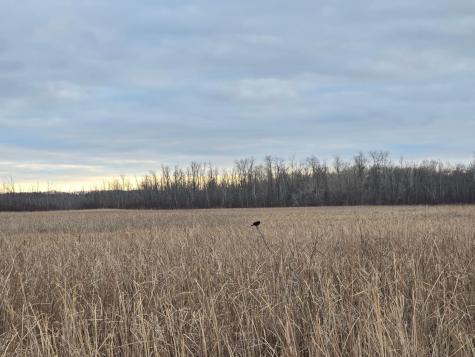 Outlots 1-9 County Road 26 Garrison MN 56450