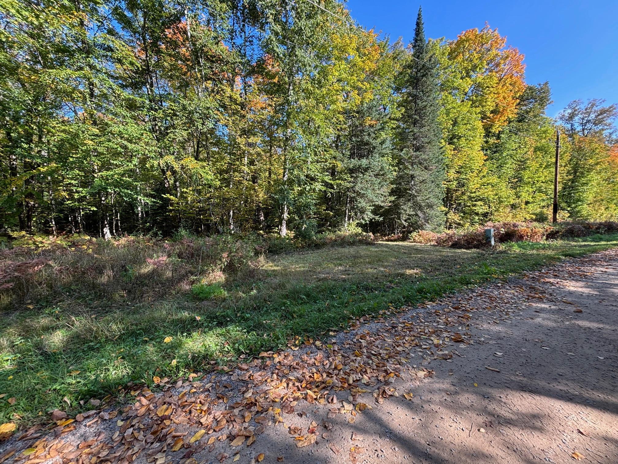 Tbd North Sherrys Arm Road Grand Rapids MN 55744