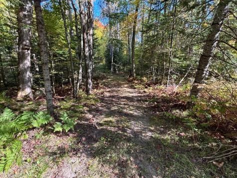 Tbd North Sherrys Arm Road Grand Rapids MN 55744