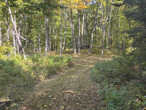 Tbd North Sherrys Arm Road Grand Rapids MN 55744