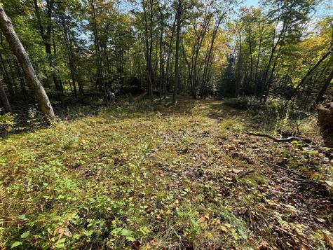 Tbd North Sherrys Arm Road Grand Rapids MN 55744