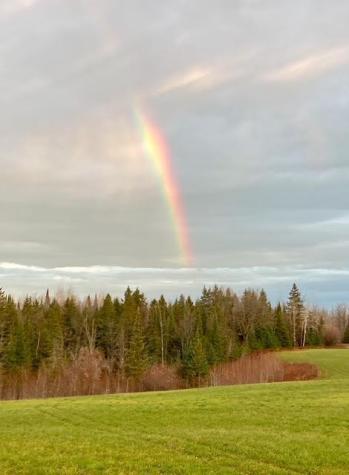 12201 E Hakkala Road Maple WI 54854
