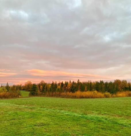 12201 E Hakkala Road Maple WI 54854