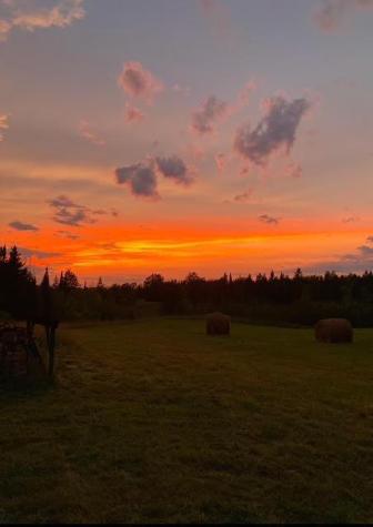 12201 E Hakkala Road Maple WI 54854