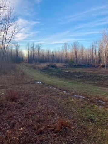 12201 E Hakkala Road Maple WI 54854