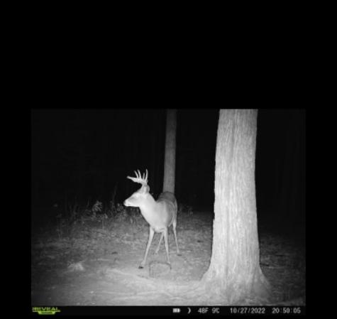 12201 E Hakkala Road Maple WI 54854