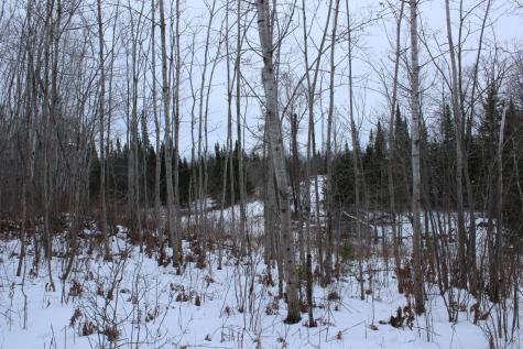 12201 E Hakkala Road Maple WI 54854