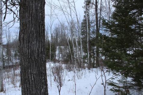 12201 E Hakkala Road Maple WI 54854