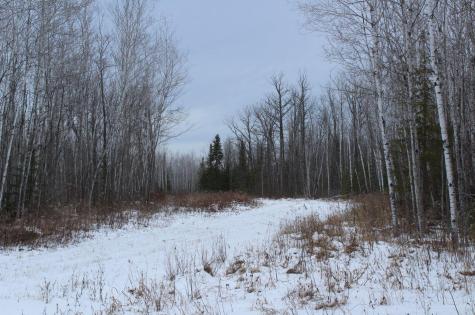 12201 E Hakkala Road Maple WI 54854