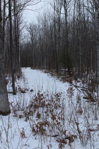 12201 E Hakkala Road Maple WI 54854