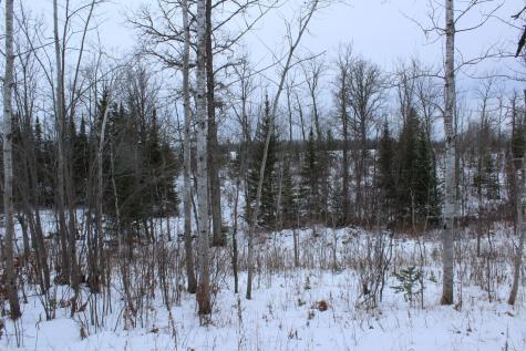12201 E Hakkala Road Maple WI 54854