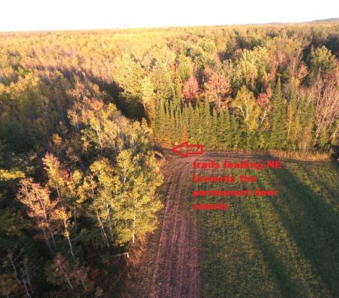 12201 E Hakkala Road Maple WI 54854