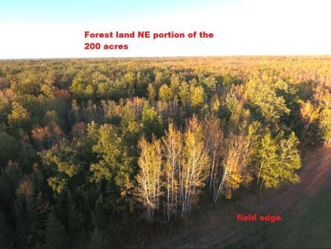 12201 E Hakkala Road Maple WI 54854