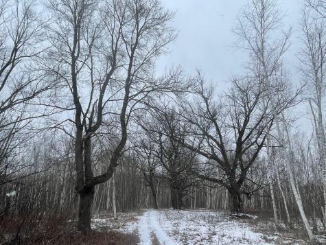 27XX 320th Avenue Brook Park MN 55007
