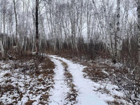 27XX 320th Avenue Brook Park MN 55007