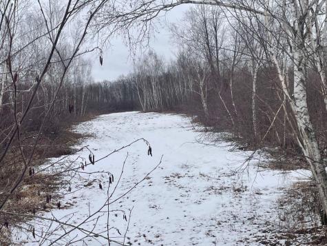 27XX 320th Avenue Brook Park MN 55007